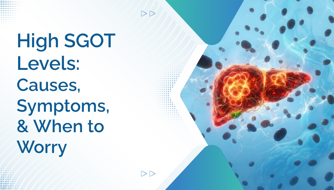 High SGOT Levels: Causes, Symptoms, and When to Worry
